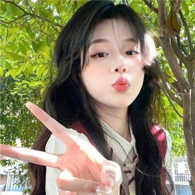 挪威的抵抗